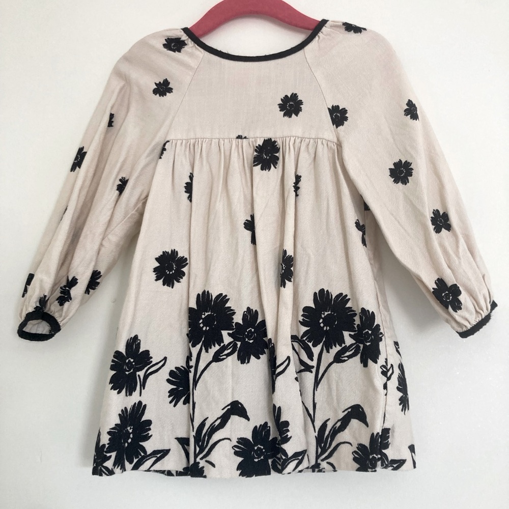 Zara dress